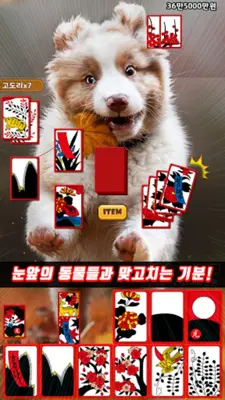 애니멀맞고 android App screenshot 3